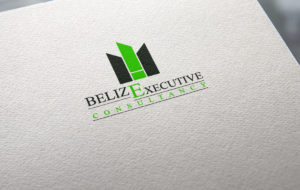 Belize Executive Consultancy Logo portfolio item