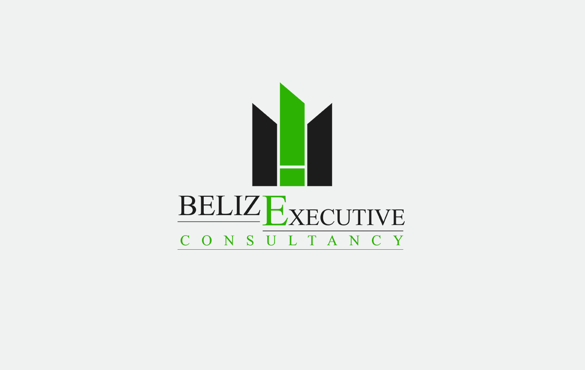 Belize Executive Consultancy Logo graphic design
