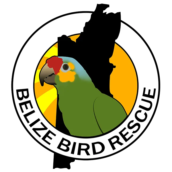 Belize Bird Rescue Logo