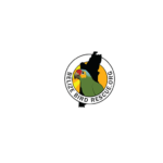 Belize Graphic Design- belize bird rescue - belize branding