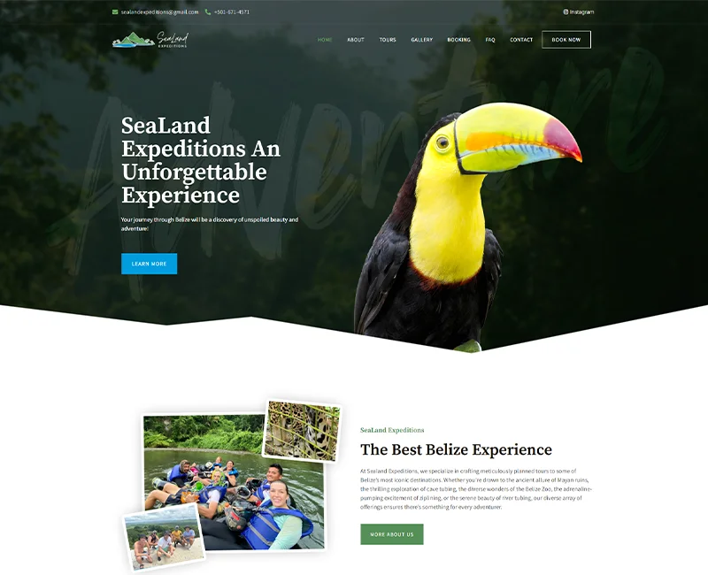 Belize Website Services-sealand-template