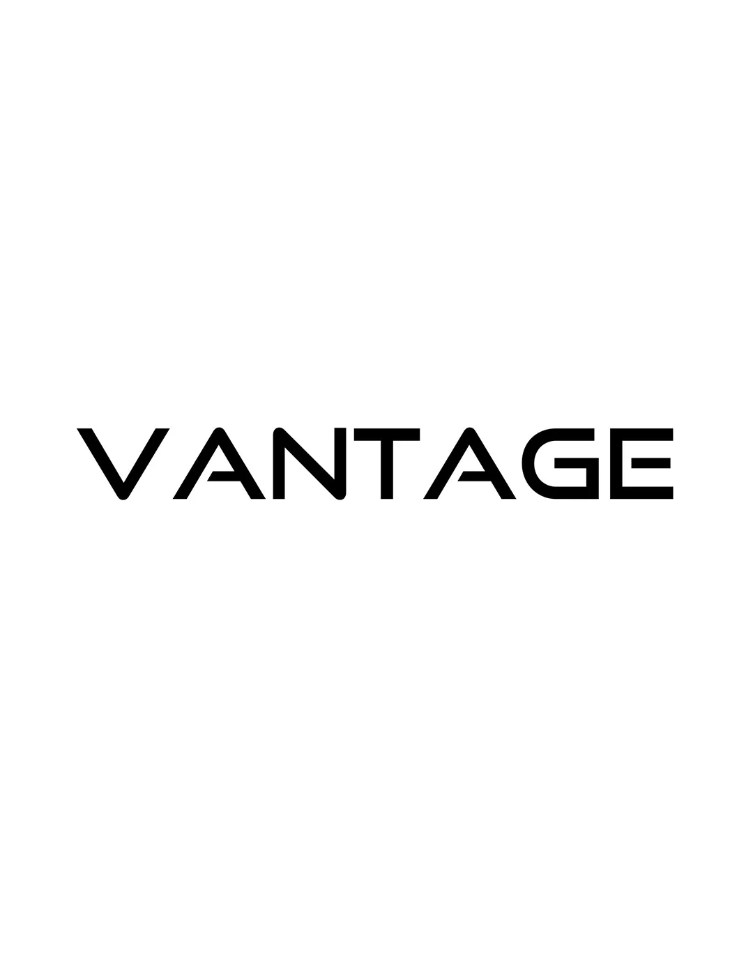VBGP partners vantage